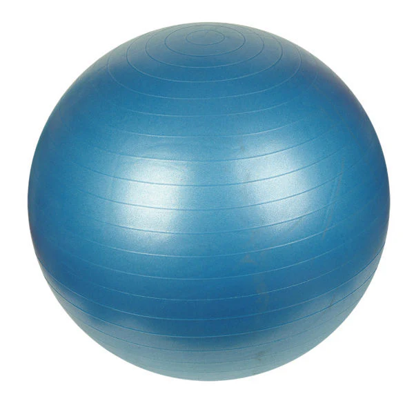 Sunny Fitness Anti Burst Exercise Ball With Pump