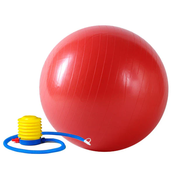 Sunny Fitness Anti Burst Exercise Ball With Pump - Image 4