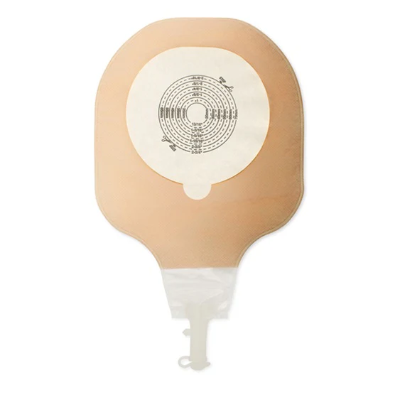 Hollister Premier High Output One-Piece 12" Pouche Flextend Non-Sterile 2-3/4" - Image 2