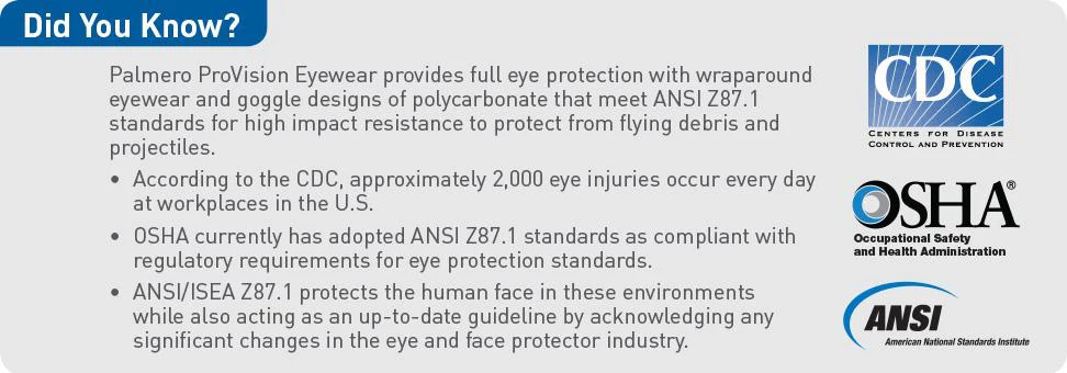 Palmero ProVision Goggle Eye wear - Image 3