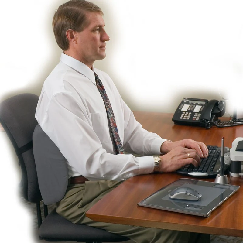 Core International Std Sitback Lumbar Support - Image 4
