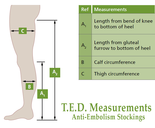 Covidien Unisex T.E.D Anti-Embolism Thigh High 8-18mmHg - Image 2