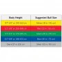 Thera-Band Pro Series SCP Exercise Ball - Image 2